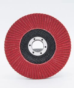Alternative view of Ceramic Flap Disc